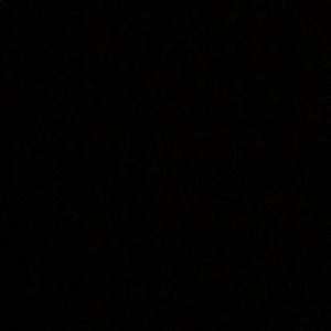 Meet your Posher, Dora nely